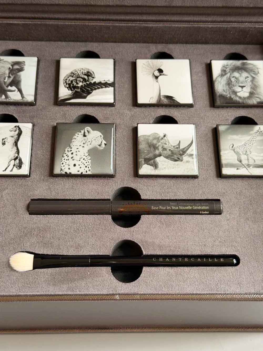 NIB Chantecaille Luminescent Eye Shade Collection 8 Shades Eye Base Brush RARE